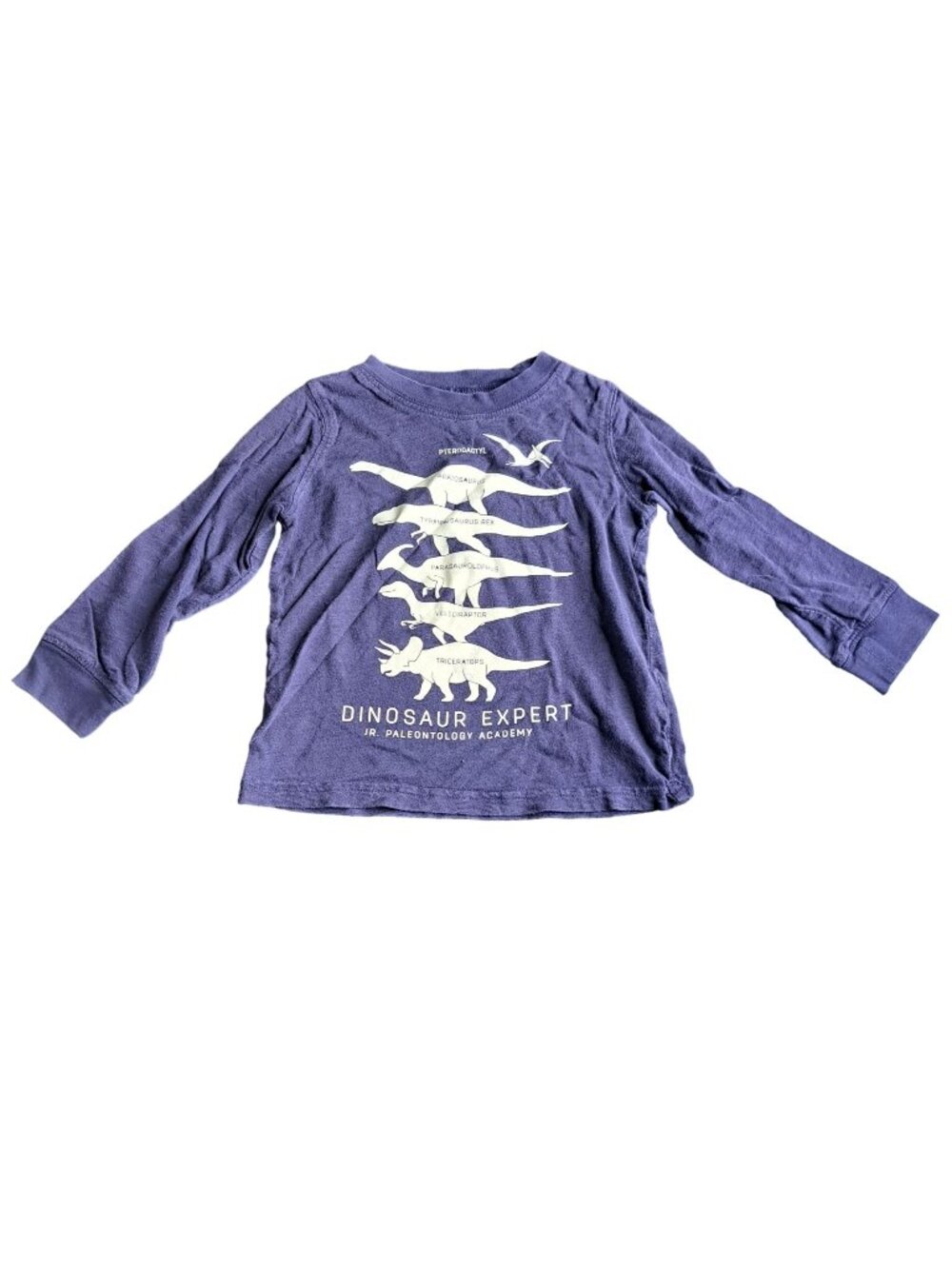 Carters 24M Boys Blue Dinosaur Expert Graphic Long Sleeve Shirt Cotton casual